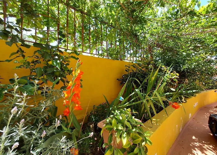 Casa Maestro Lelo - Acogedora Casa Rural Canaria Con Patios Y Jardines De Flores