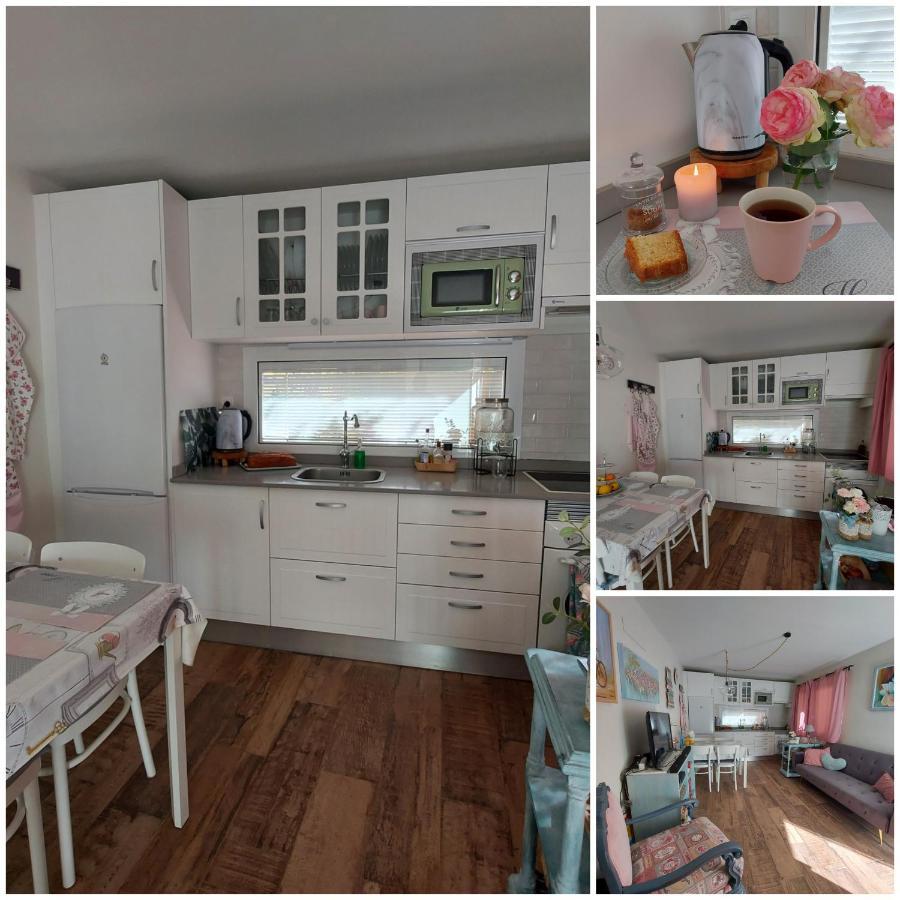 Casa Maestro Lelo - Acogedora Canaria Con Patios Y Jardines De Flores Casa de vacances