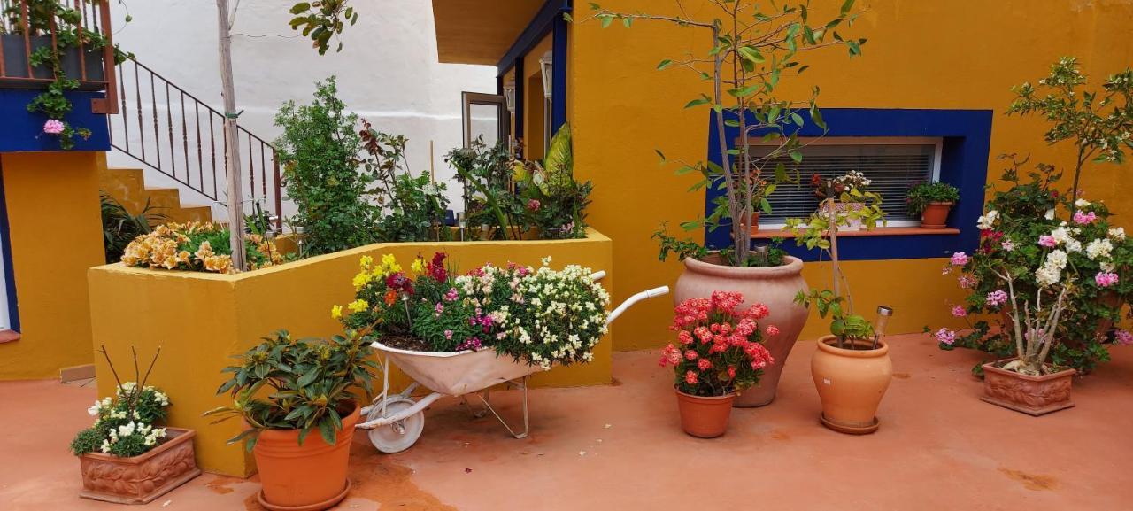 Casa Maestro Lelo - Acogedora Canaria Con Patios Y Jardines De Flores Casa de vacances *