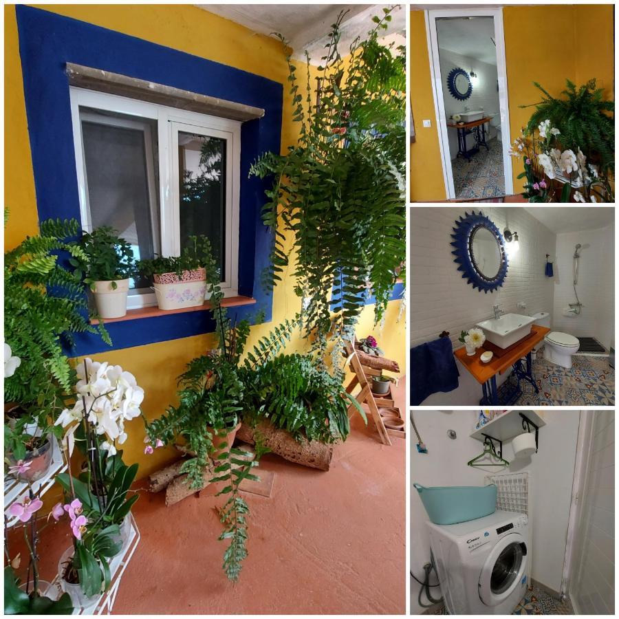 Casa de vacances Casa Maestro Lelo - Acogedora Canaria Con Patios Y Jardines De Flores Las Palmas de Gran Canaria