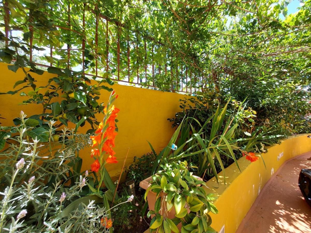 Casa Maestro Lelo - Acogedora Canaria Con Patios Y Jardines De Flores Las Palmas de Gran Canaria